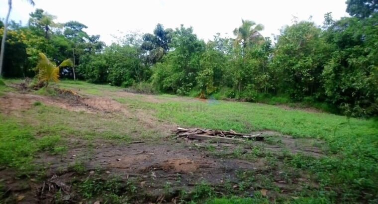 Land For Sale In Kandy