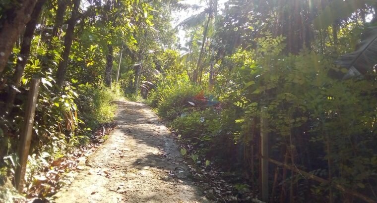 Land For Sale In Kegalle