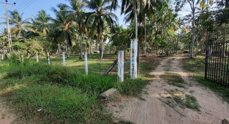 Land for Sale in Katupotha