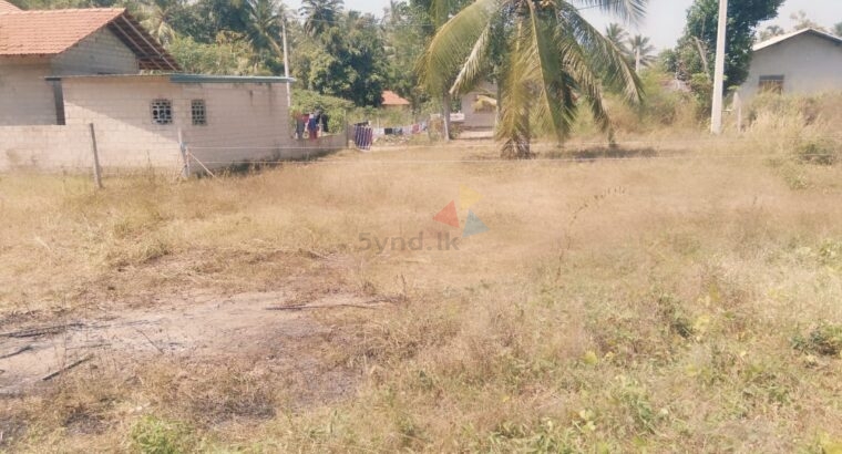 Land For Sale In Negombo