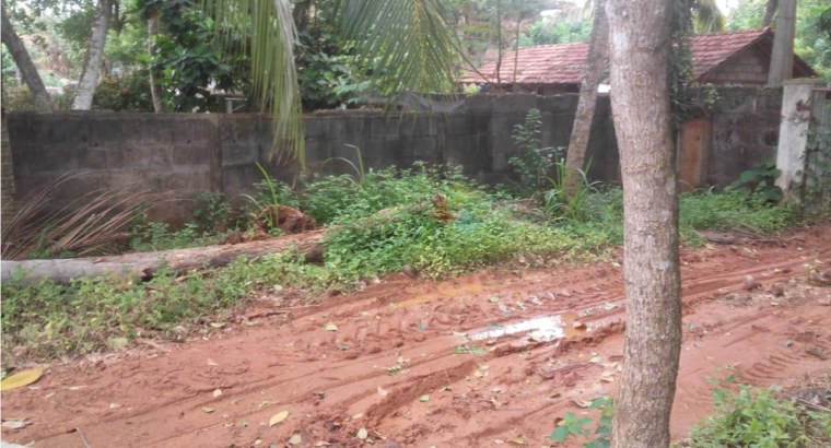 Land For Sale In Dikwella