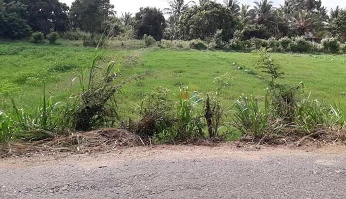 Land For Sale Kurunegala