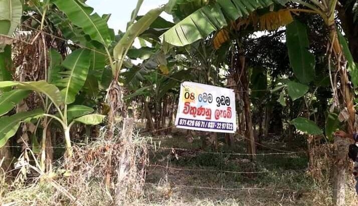 Land For Sale Kurunegala