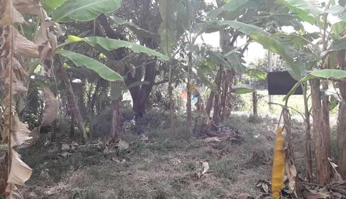Land For Sale Kurunegala