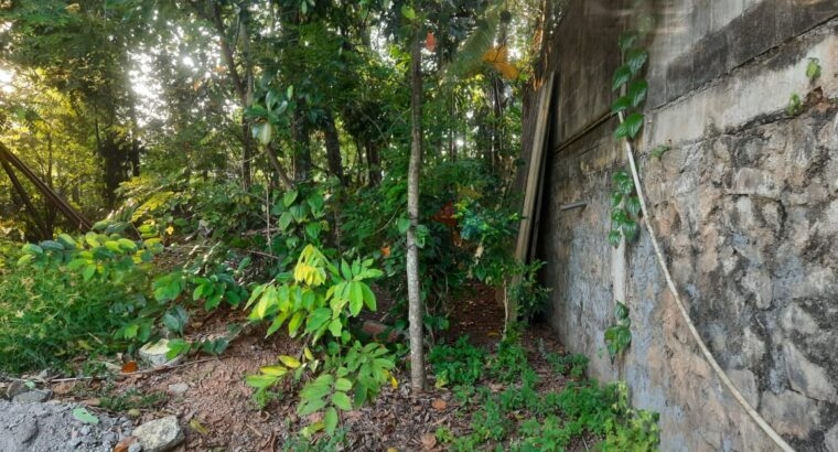 Land For Sale In Kadawatha