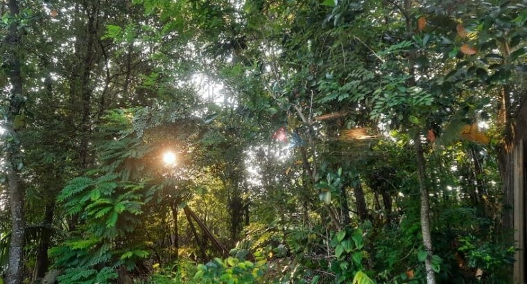 Land For Sale In Kadawatha