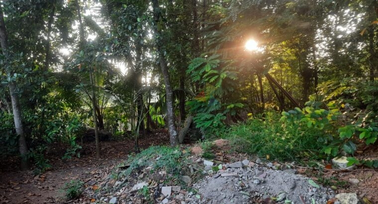 Land For Sale In Kadawatha