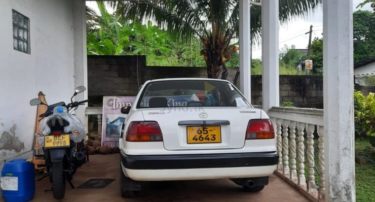 Toyota Corolla 1996