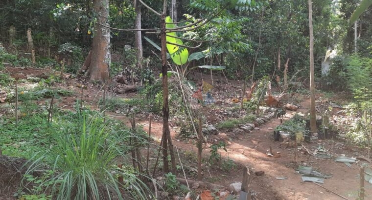 Land For Sale In Katugasthota
