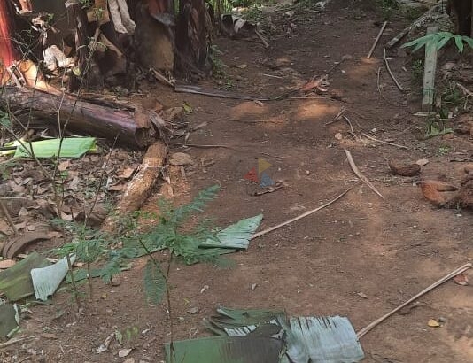 Land For Sale In Katugasthota
