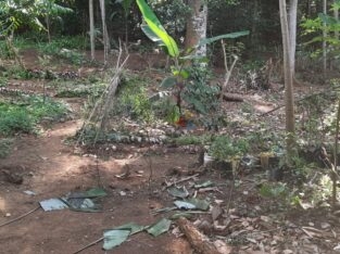Land For Sale In Katugasthota