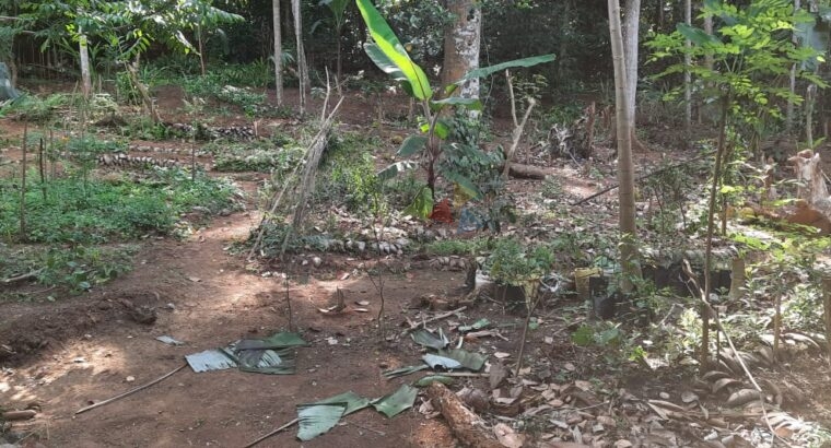 Land For Sale In Katugasthota