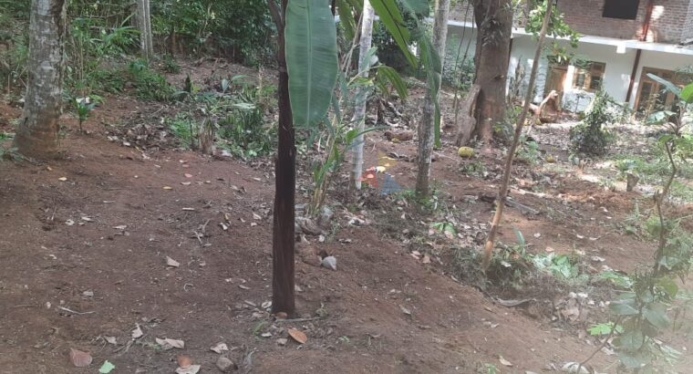 Land For Sale In Katugasthota