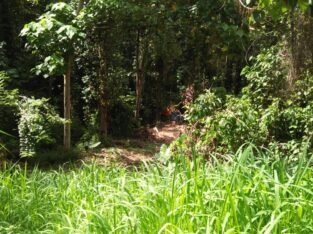 Land For Sale In Galagedara