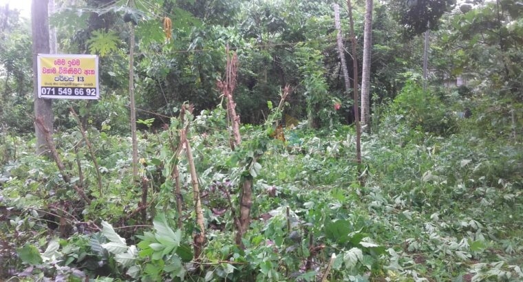 Land For Sale In Gampaha Kalagedihena