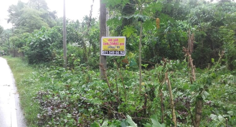 Land For Sale In Gampaha Kalagedihena