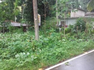 Land For Sale In Gampaha Kalagedihena