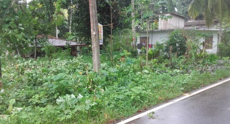 Land For Sale In Gampaha Kalagedihena