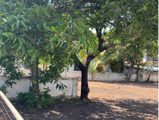 Bare Land For Sale In Colombo 03