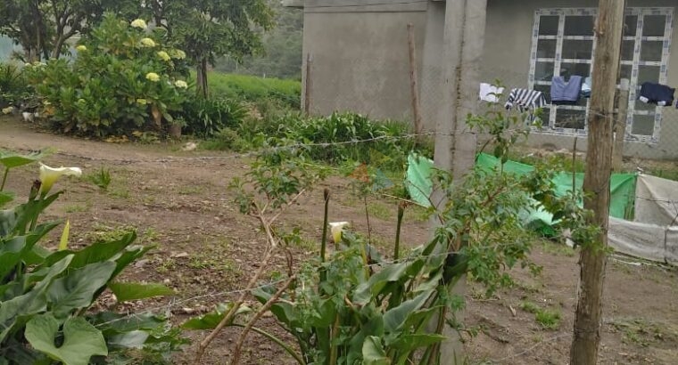 Land For Sale In Nuwara Eliya