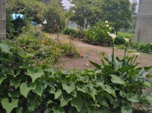 Land For Sale In Nuwara Eliya