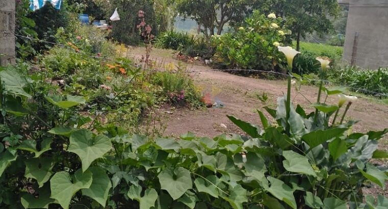 Land For Sale In Nuwara Eliya
