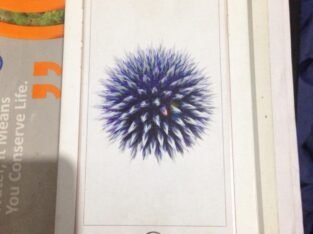 Apple iPhone 6 Used