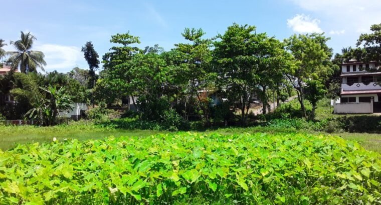 Land For Sale In Galle
