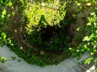 Land For Sale In Gampaha