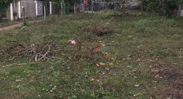 Land For Sale In Gampaha