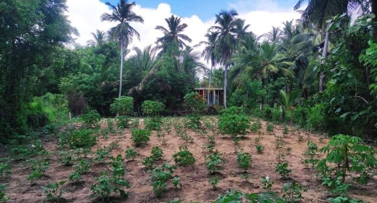 Land For Sale In Wariyapola