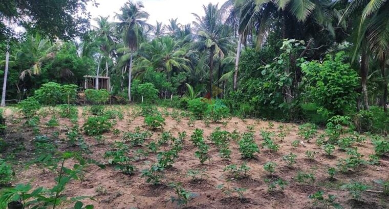 Land For Sale In Wariyapola