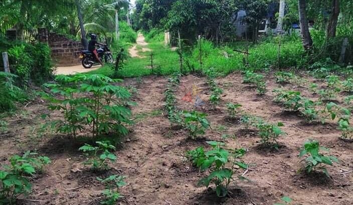 Land For Sale In Wariyapola