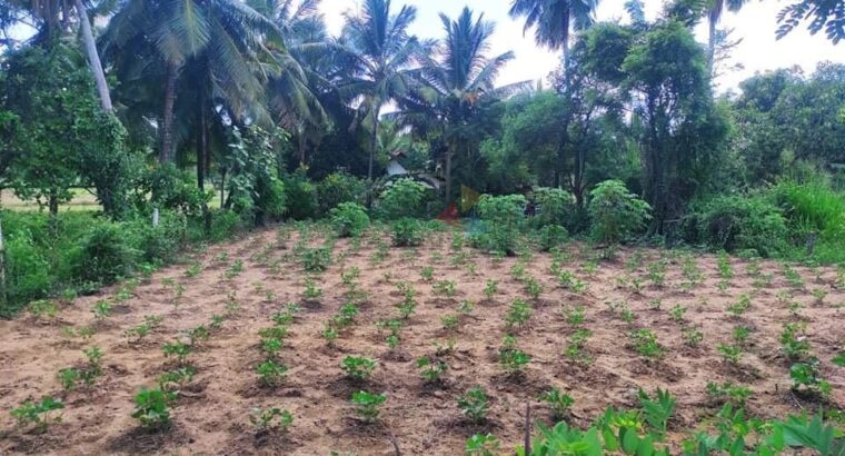 Land For Sale In Wariyapola