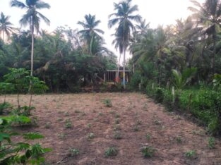 Land For Sale In Wariyapola