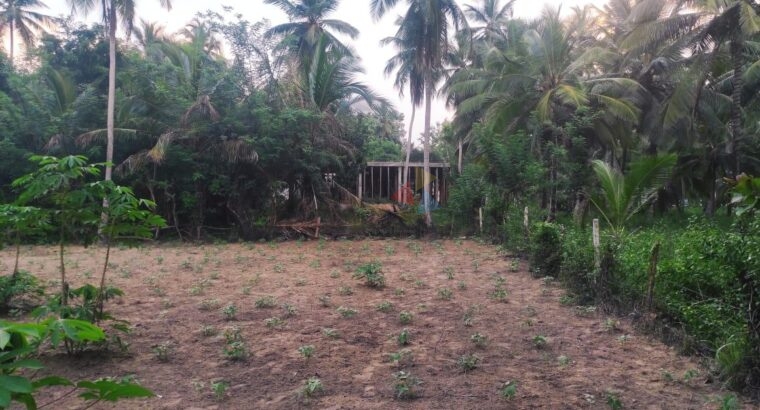 Land For Sale In Wariyapola
