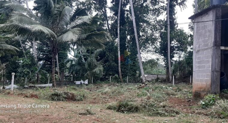 Land For Sale In Gampola