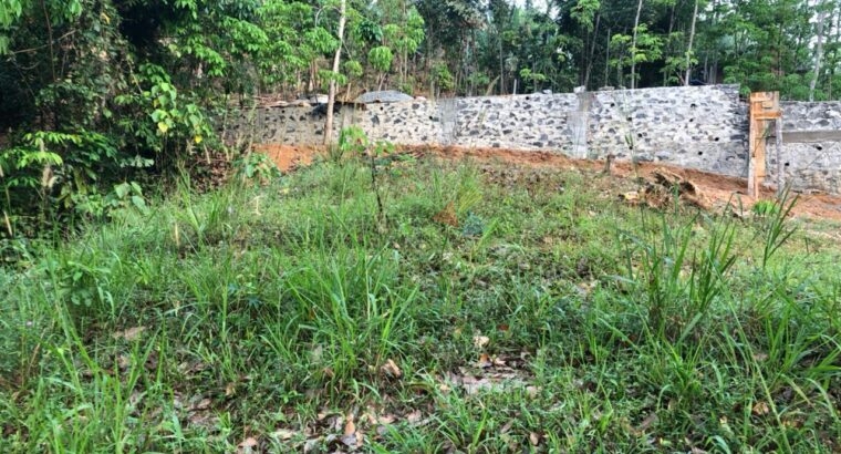 Land For Sale In Mawanella