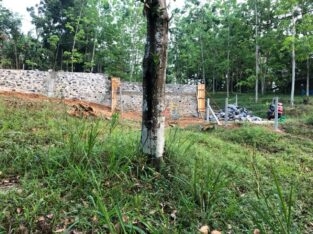Land For Sale In Mawanella