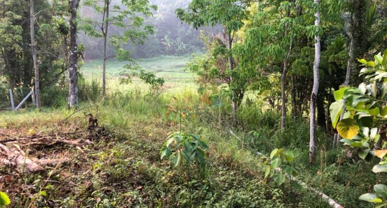 Land For Sale In Mawanella