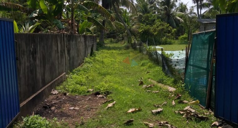 Land For Sale In Pamunugama