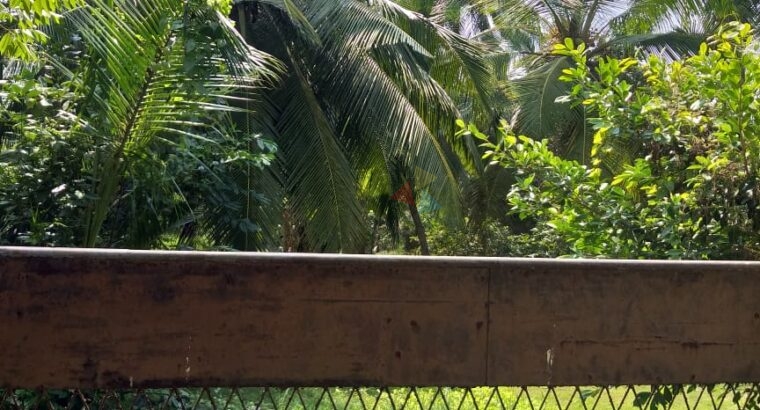 Land For Sale In Pamunugama