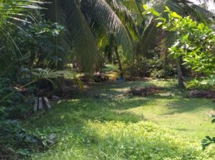 Land For Sale In Pamunugama
