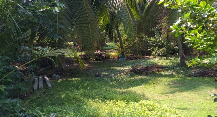 Land For Sale In Pamunugama