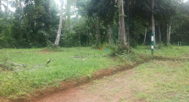 Land For Sale In Abaraluwa