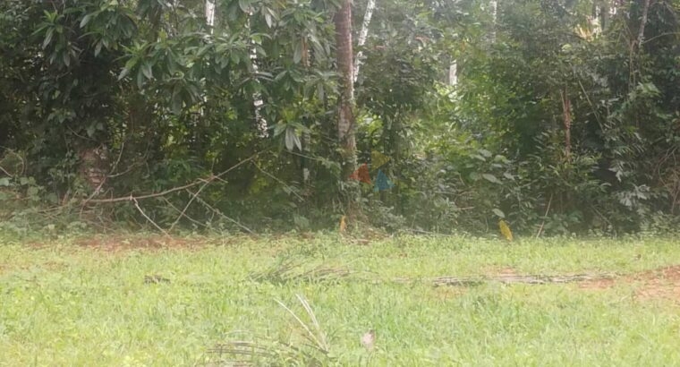 Land For Sale In Abaraluwa