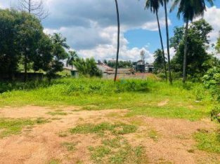 Land For Sale In Minuwangoda