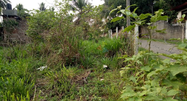 Land For Sale In Athurugiriya