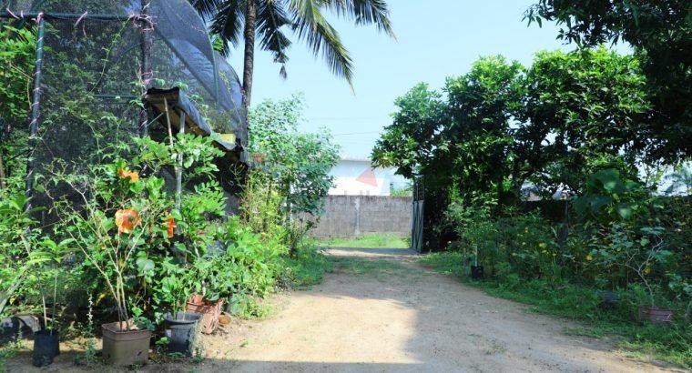 House With Land For Sale In Kosgama
