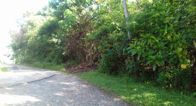 Land For Sale In Ingiriya